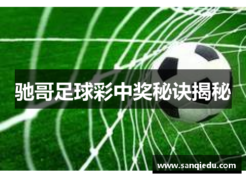 驰哥足球彩中奖秘诀揭秘